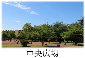 中央広場.png