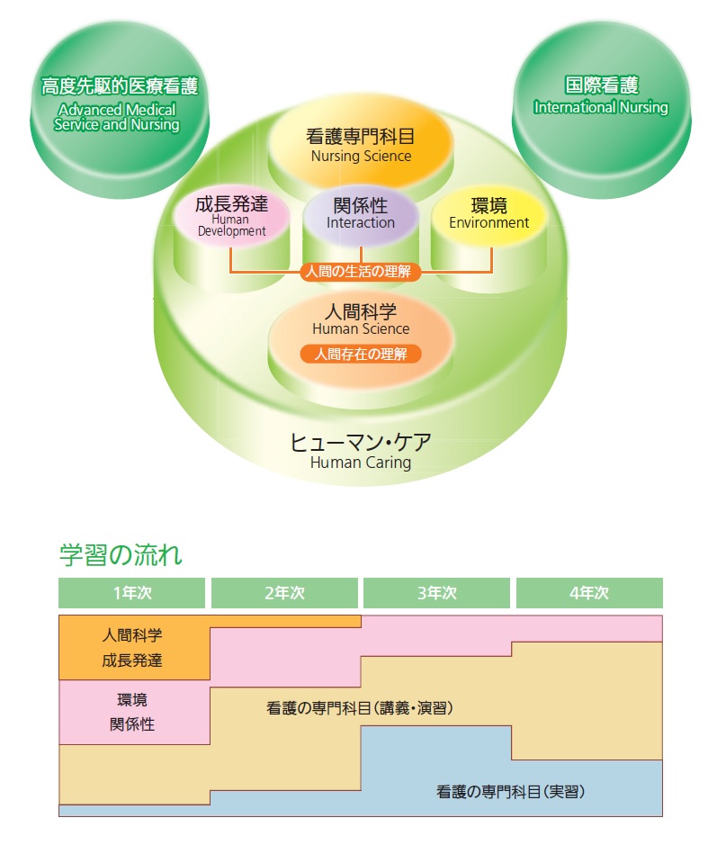 カリキュラム構成・学習の流れ